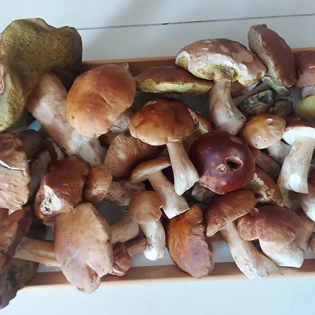 아파트 Krusne Hory